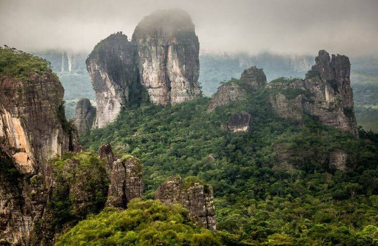 Foto: César David Martínez