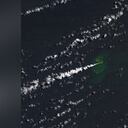 La concentración de tierra es superior a las dos hectáreas, pero los expertos advierten que podría solamente sobrevivir algunos años.