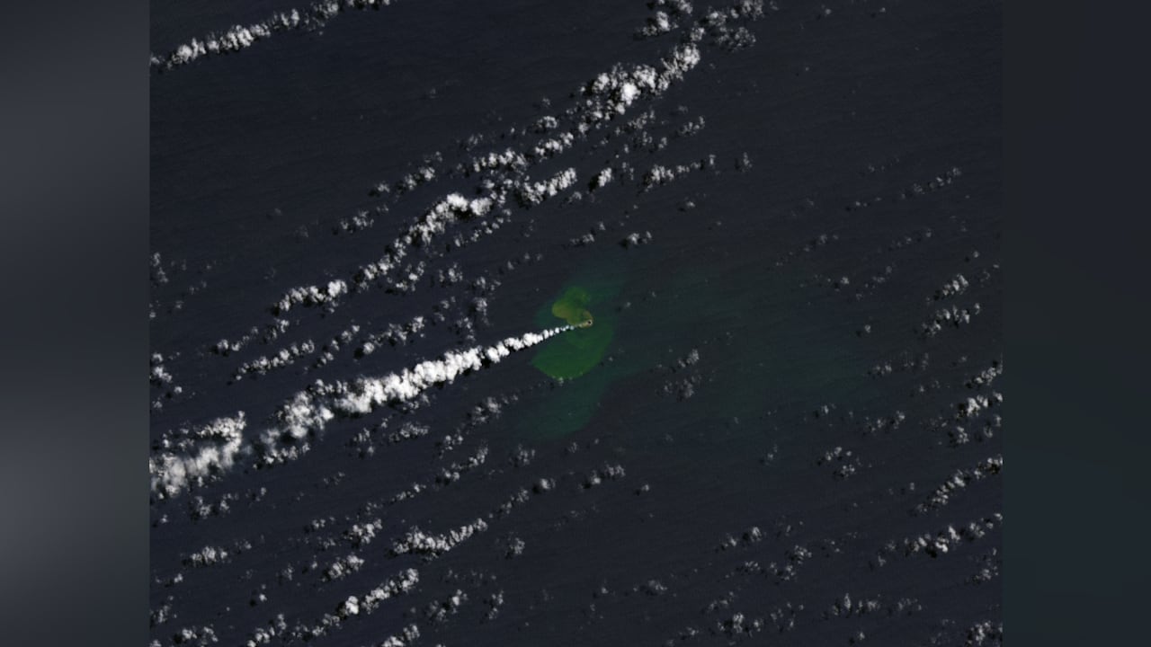 La concentración de tierra es superior a las dos hectáreas, pero los expertos advierten que podría solamente sobrevivir algunos años.