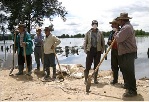 FAO detalla cuáles son los productos que más se han perdido por los desastres naturales, en los últimos años.
