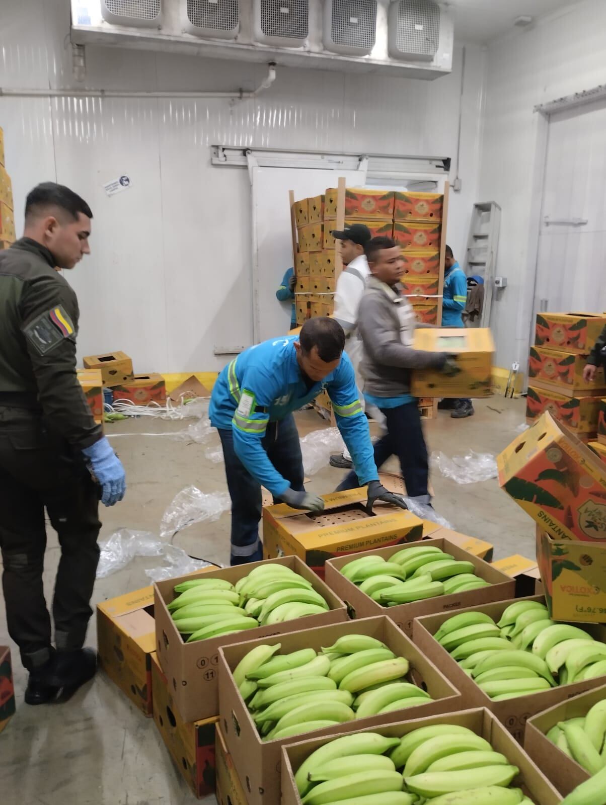 Incautación de cocaína en Santa Marta.