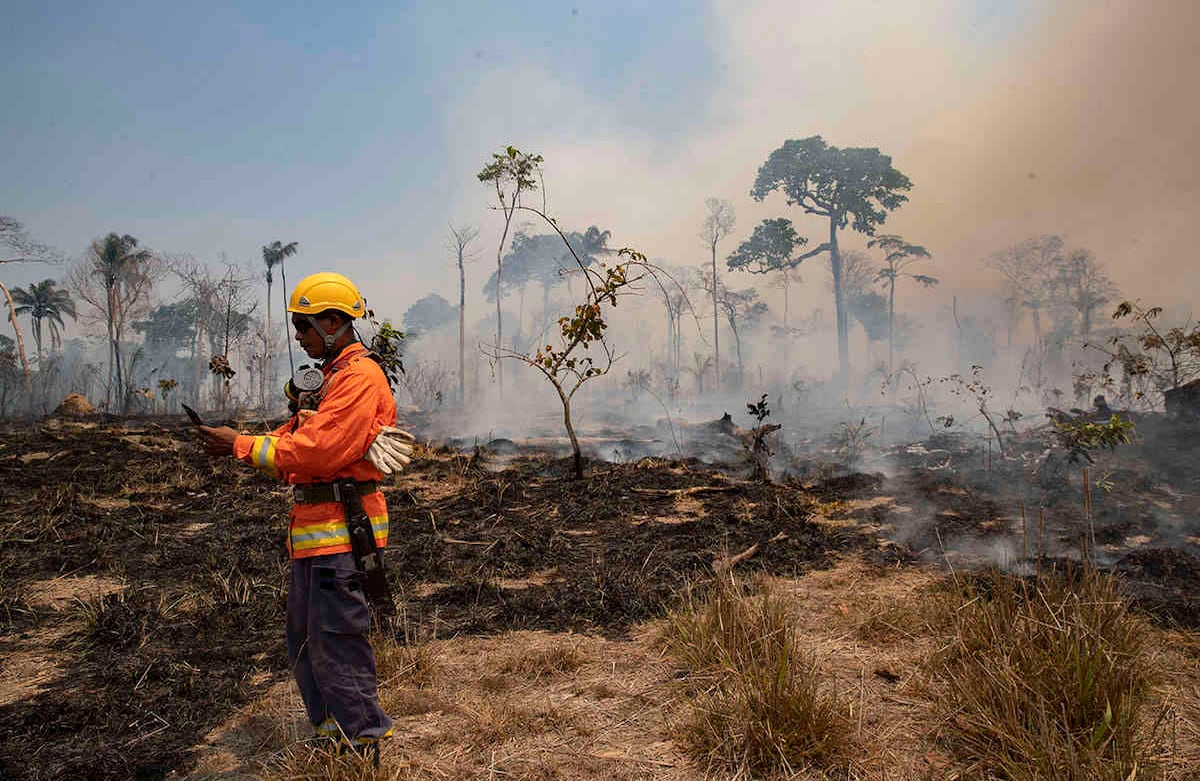 Un bombero revisa su dispositivo GPS mientras el fuego consume tierra deforestada por ganaderos cerca de Novo Progresso, estado de Pará, Brasil, el domingo 23 de agosto de 2020. Foto: Andre Penner / AP 