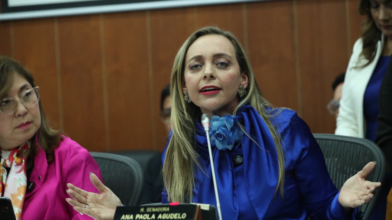 La senadora Ana Paola Agudelo, del Partido Mira