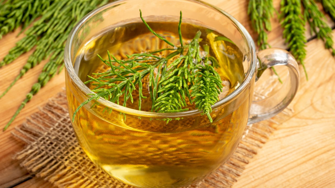 La cola de caballo tiene propiedades diuréticas y depurativas.