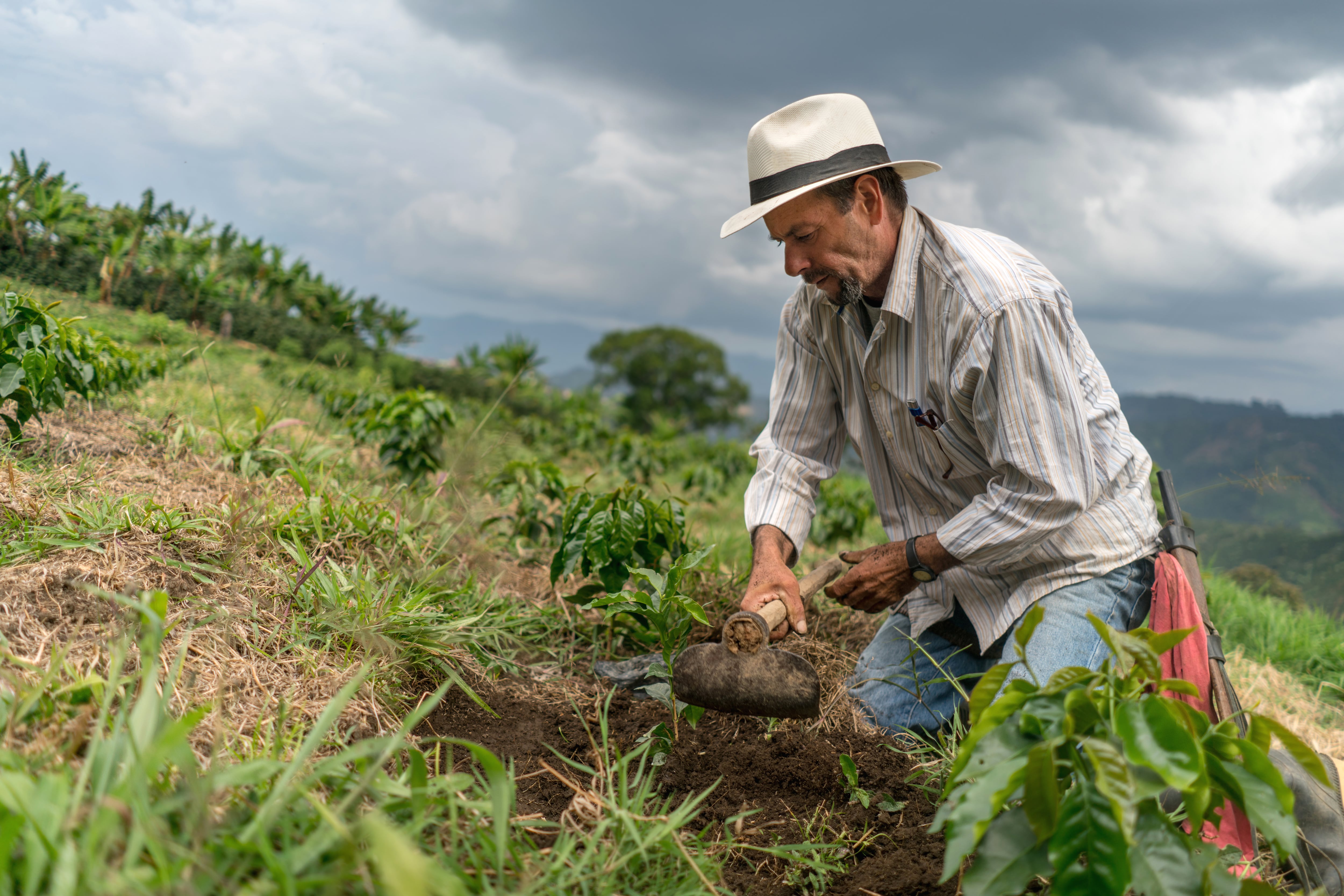 Ahora los departamentos pueden presentar propuestas relacionadas con sus prioridades regionales a través de la ADR y del Ministerio de Agricultura y Desarrollo Rural.