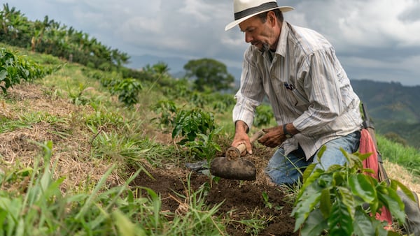 Ahora los departamentos pueden presentar propuestas relacionadas con sus prioridades regionales a través de la ADR y del Ministerio de Agricultura y Desarrollo Rural.