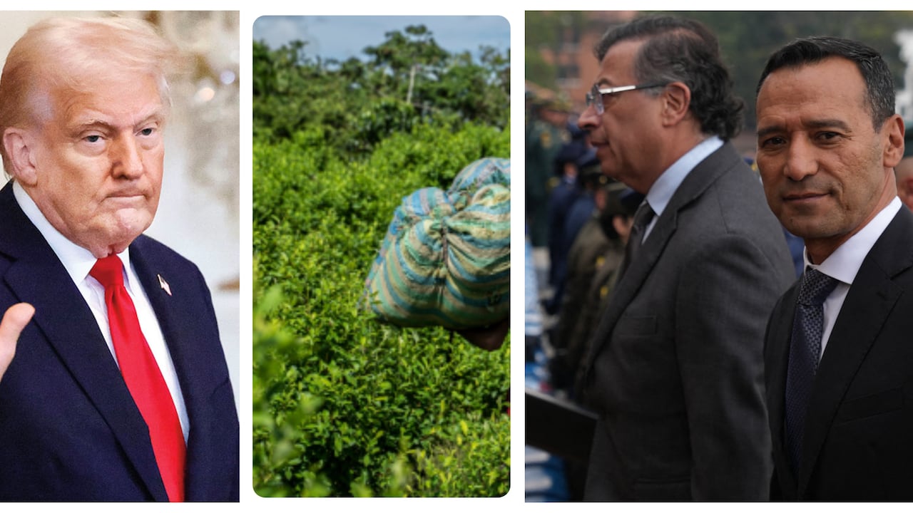 Pedro Sánchez, ministro de Defensa, hace llamado para evitar que EE. UU. descertifique a Colombia en lucha contra el narcotráfico.