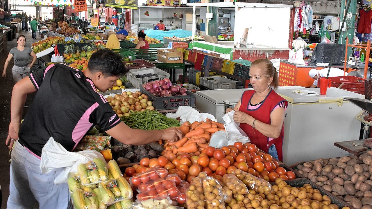 (Imagen de referencia).