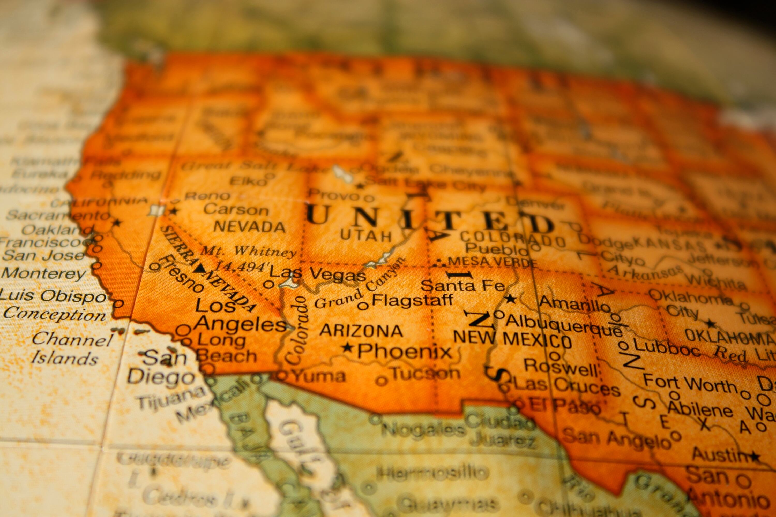 Varios condados de Estados Unidos han visto como crece la población de abejas africanizadas.