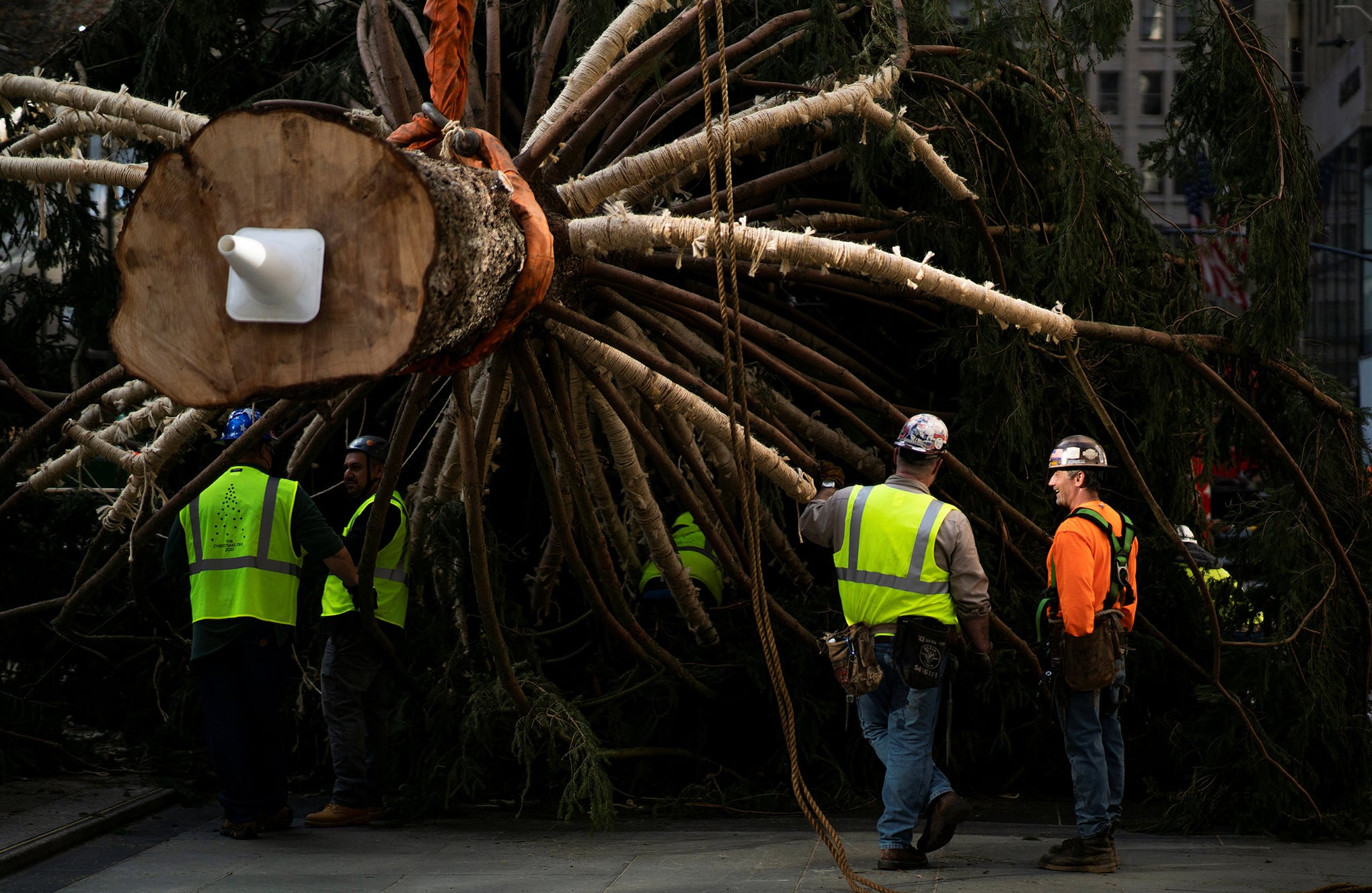 árbol de Navidad de Rockefeller en la ciudad de Nueva York