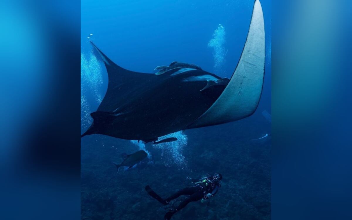 Instagram:@mariabarbena