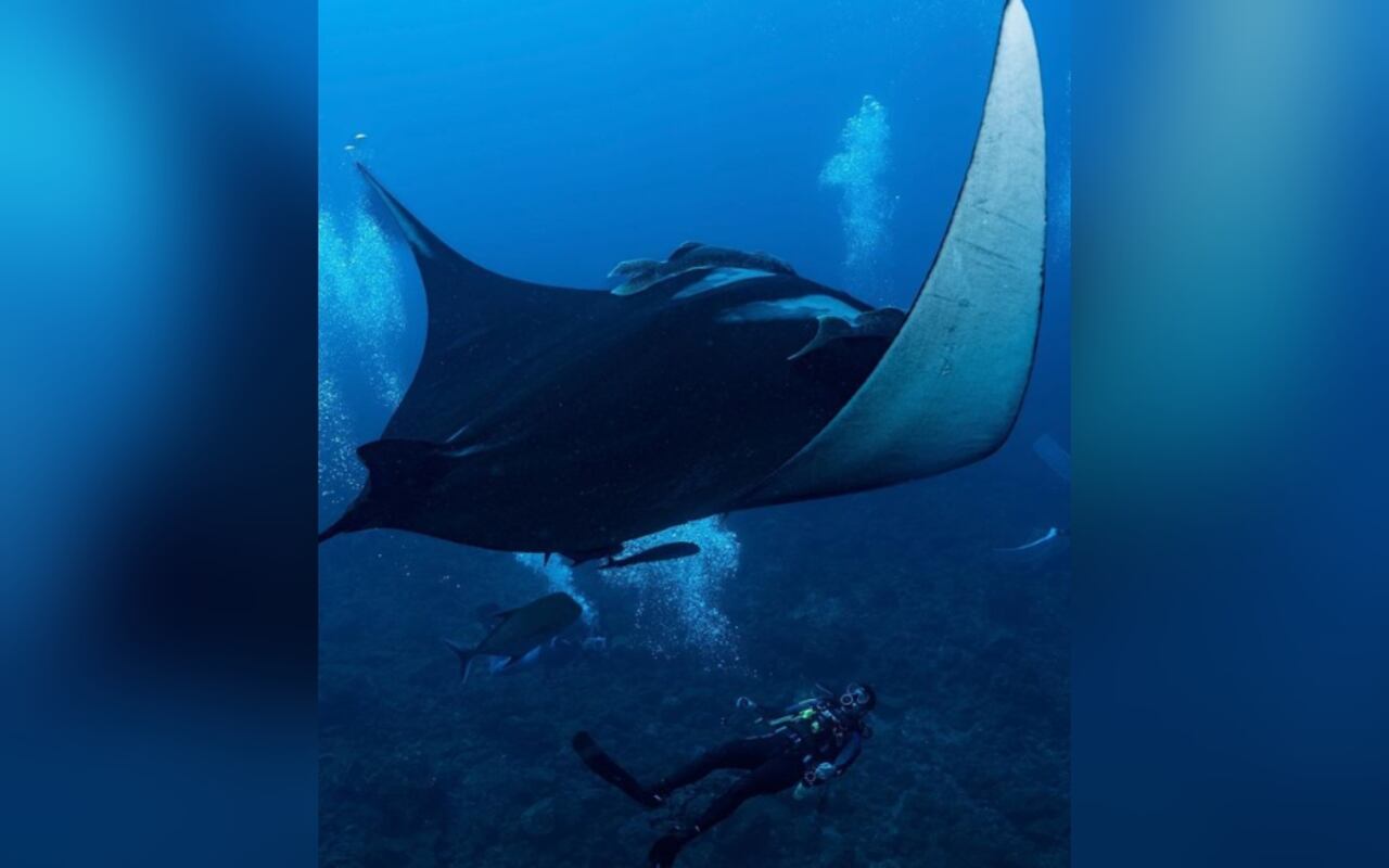 Instagram:@mariabarbena