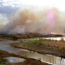 La deforestación no pudo ser controlada este 2020 y esto incrementa las emisiones de gases efecto invernadero.