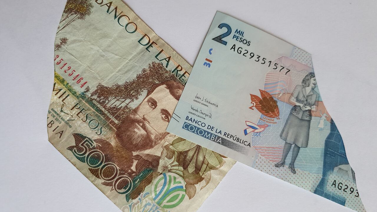 Conozca que debe hacer con los ejemplares en mal estado.