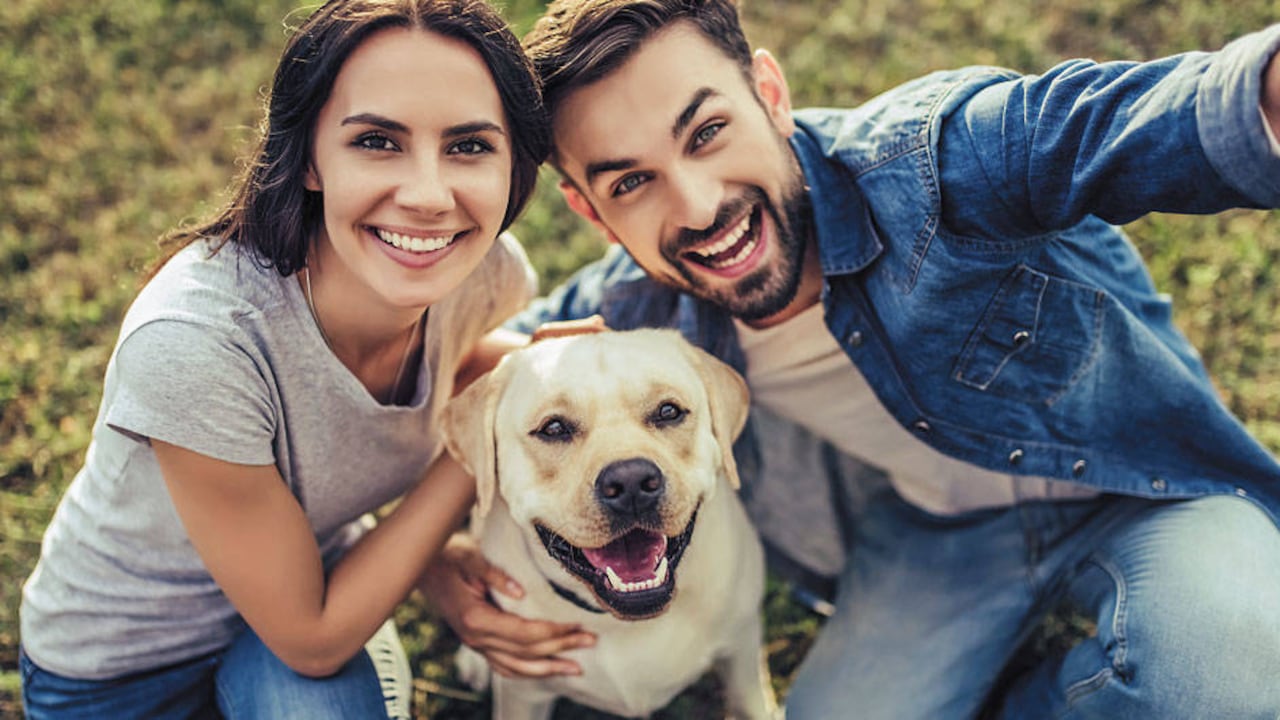 El término de familia multiespecie tiene como base la tendencia actual de construir lazos afectivos con un ser vivo sin importar si es humano.