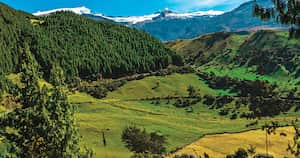 El quinto departamento más competitivo del país se destaca por sus buenos resultados en educación y seguridad, por su riqueza natural y también sus proyectos de infraestructura. Esta edición especial de SEMANA hace un repaso por este buen momento económico y social.