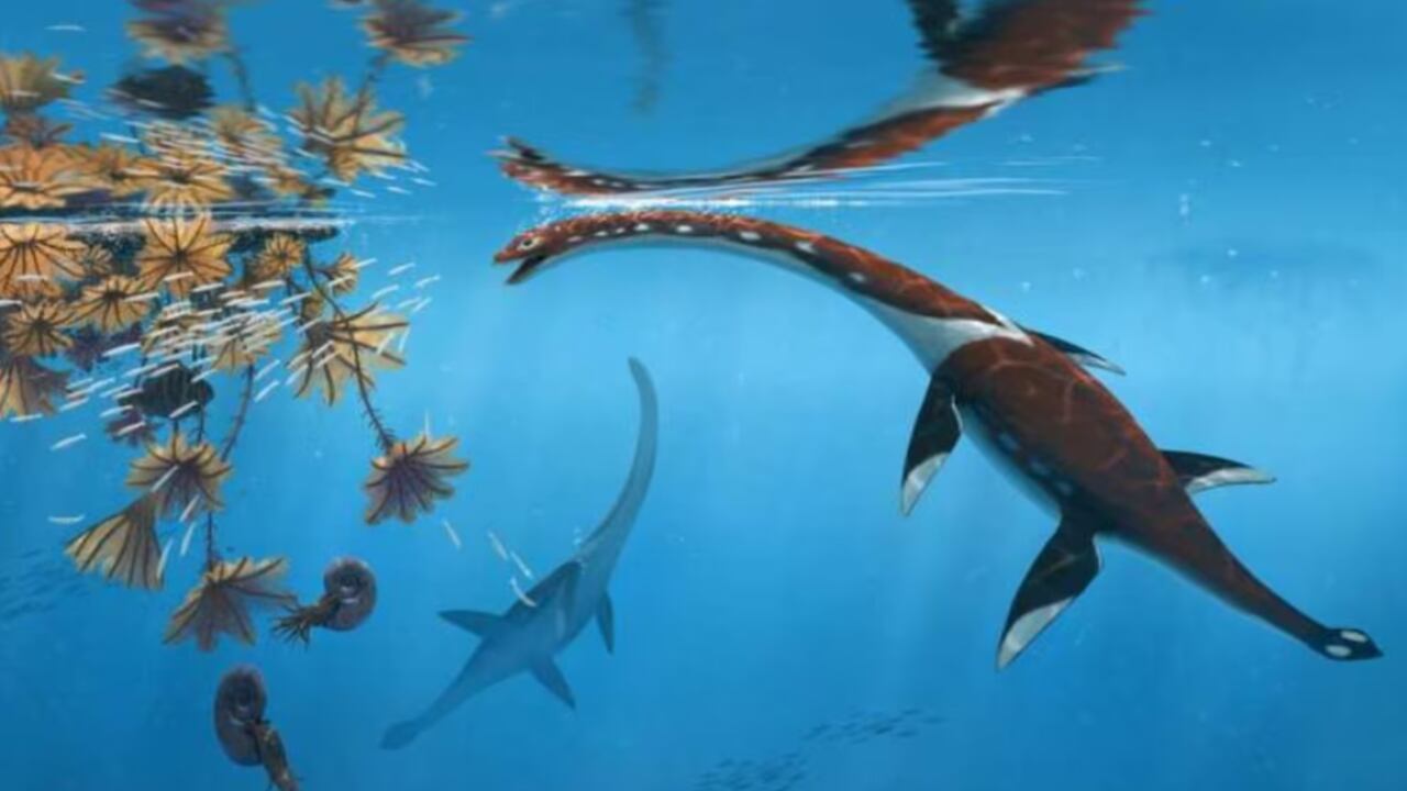 Científicos describieron a Plesionectes longicollum, un reptil de cuello largo que habitó los mares hace 183 millones de años.