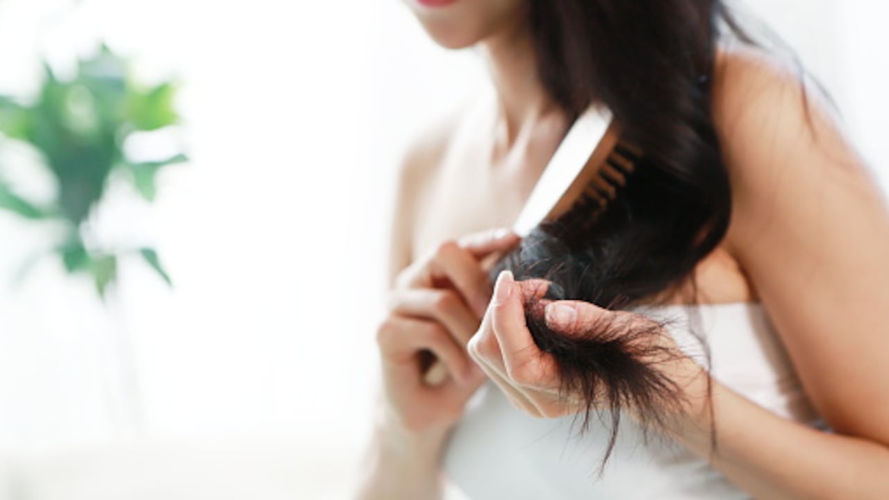 El romero es utilizado para tratamientos del cabello, ya que por sus propiedades de calentamiento, estimula la circulación sanguínea, oxigenando el cuero cabelludo y las raíces del cabello.