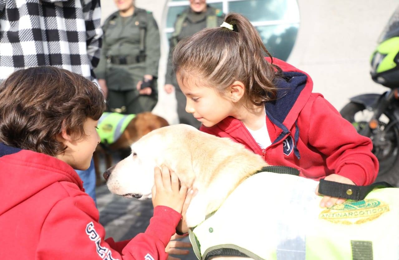La Policía Antinarcóticos entregó en adopción 28 perros que cumplieron sus 6 años de servicio. 