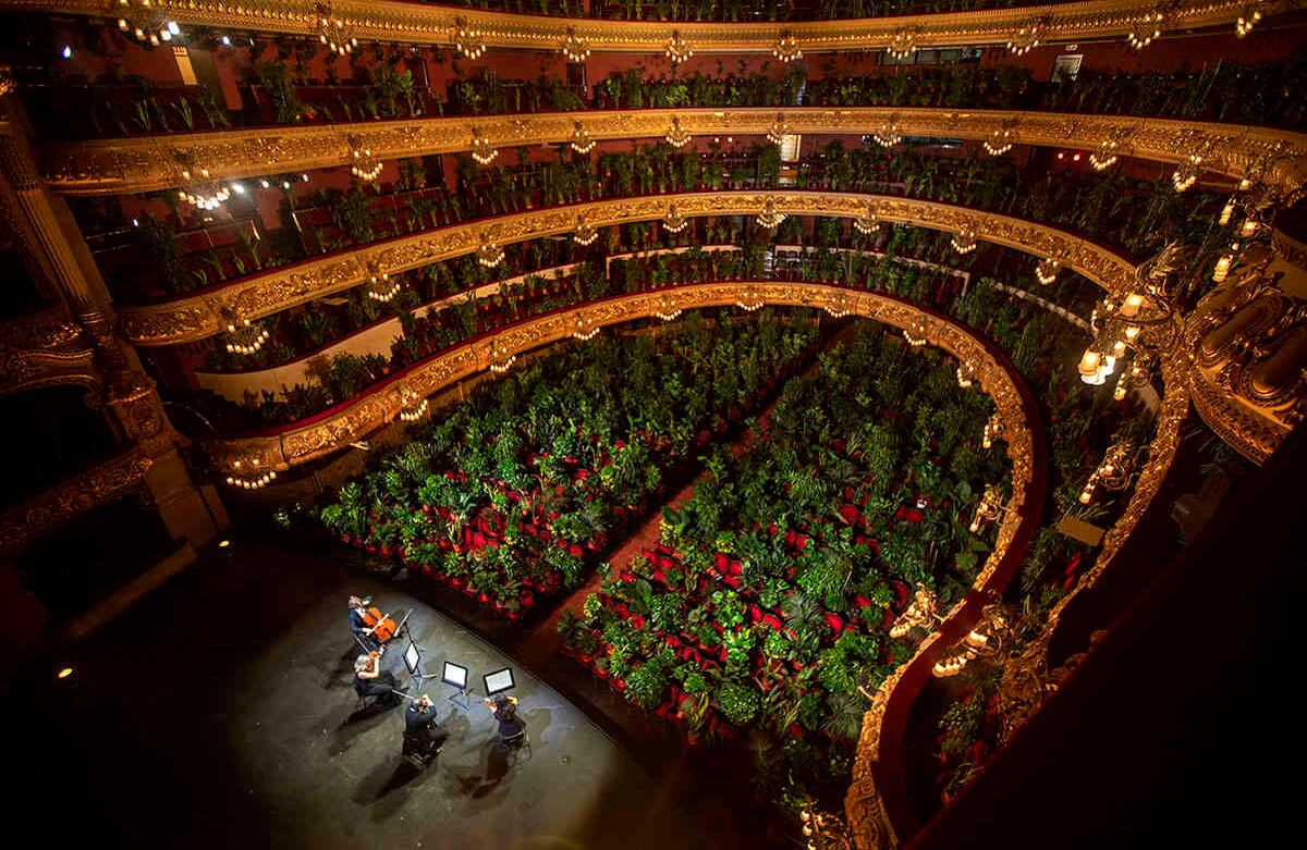 Músicos ensayan en el Gran Teatre del Liceu, en Barcelona, España, el 22 de junio. El escenario reanudó sus espectáculos el 22 de junio con una transmisión online. Debido a las normas de bioseguridad, el público presente en el teatro fueron plantas traídas de viveros locales. Foto: Emilio Morenatti/ AP