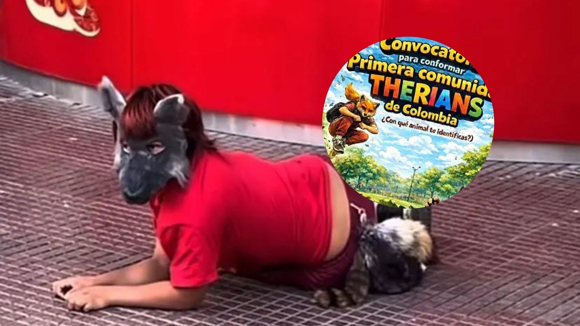 ¿La primera comunidad therian de Colombia?