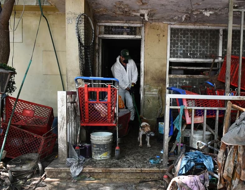 El operativo, liderado por la Secretaría de Gobierno reveló acumulación de desechos y presencia de plagas en la vivienda.