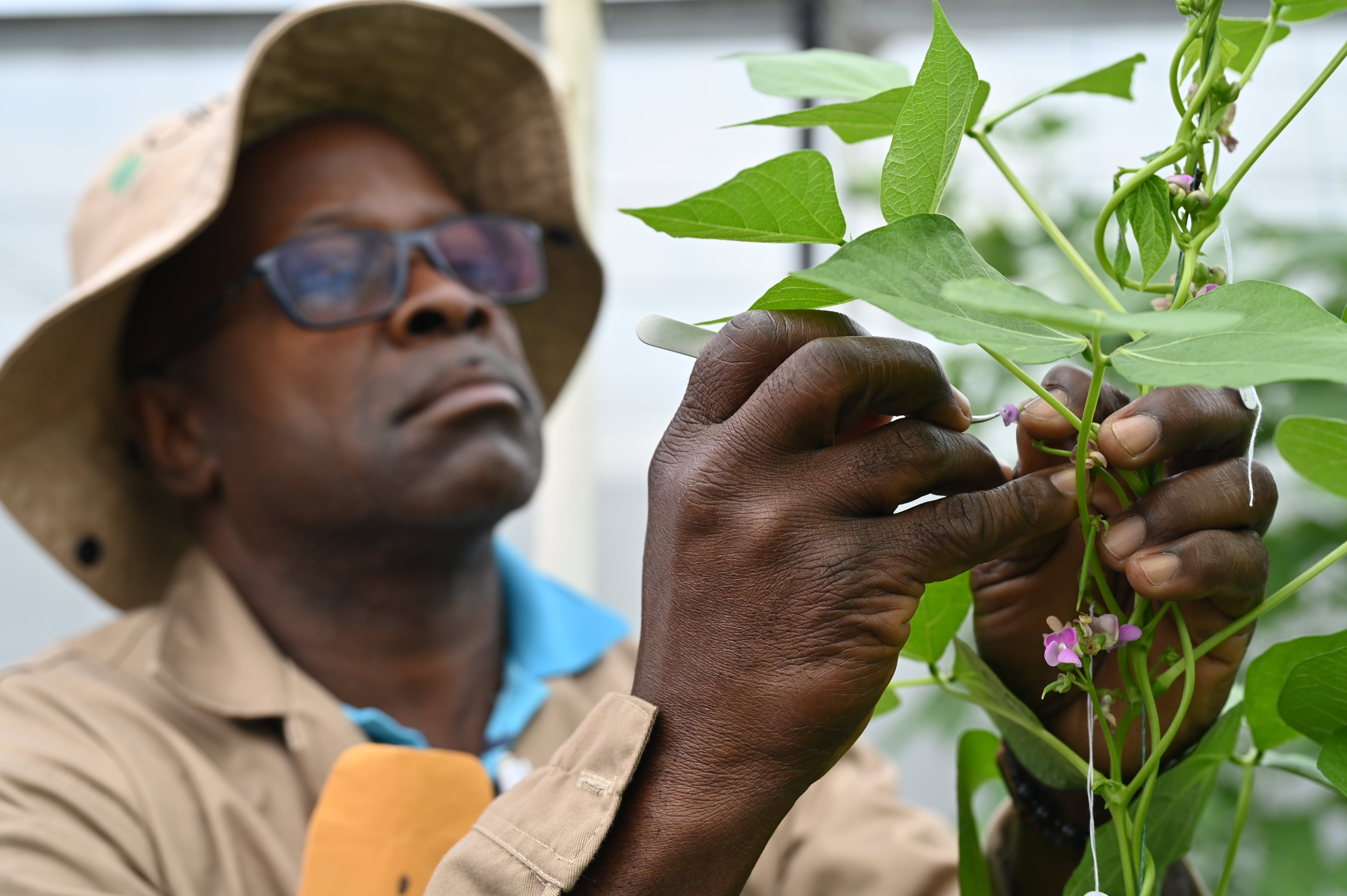 Editorial Semillas del Futuro, "La bóveda que alimentará al mundo  ", Semana Sostenible