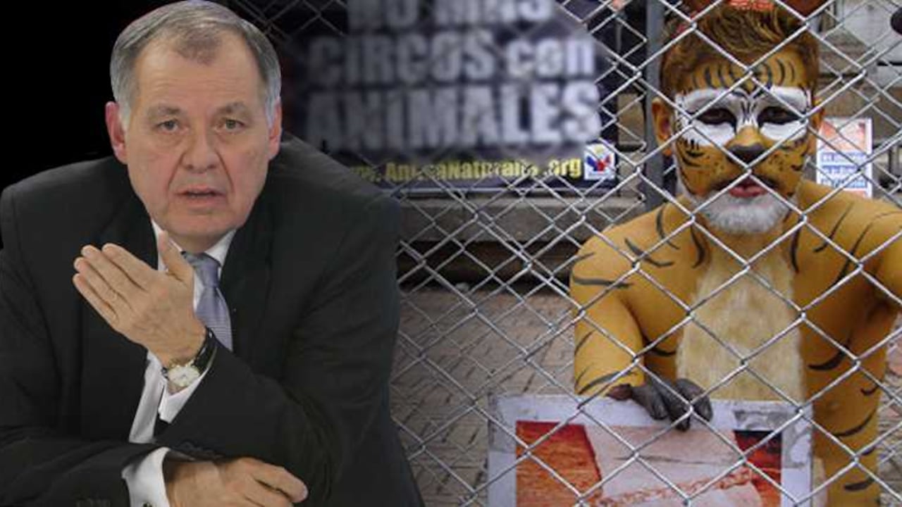 El concepto que Ordóñez le envió a la Corte es de 11 páginas. En estas expone sus argumentos.