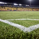 Estado de la cancha de El Campín