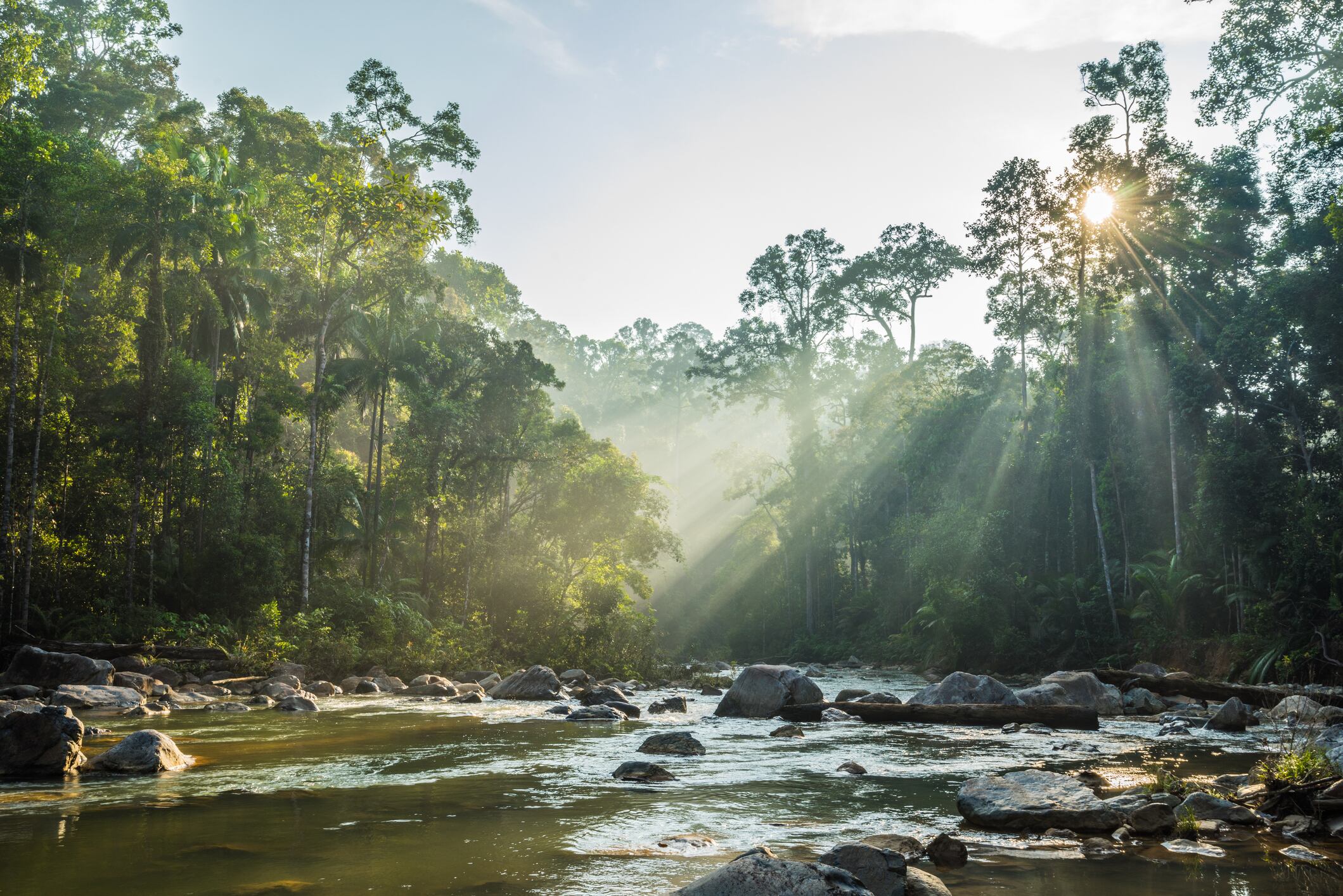 La actividad humana ha alterado profundamente el equilibrio natural de los sistemas fluviales.