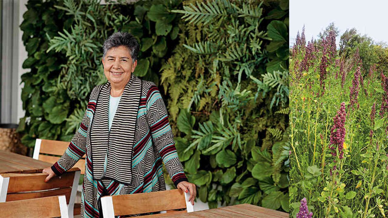 Soledad Rueda, representante legal de Quality Q.