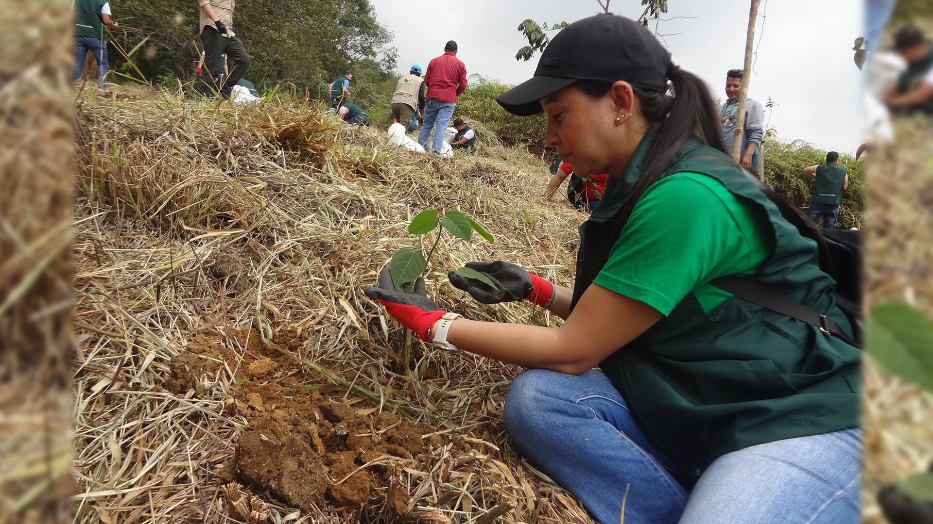 Iniciativas empresariales que están ayudando a mitigar el cambio climático