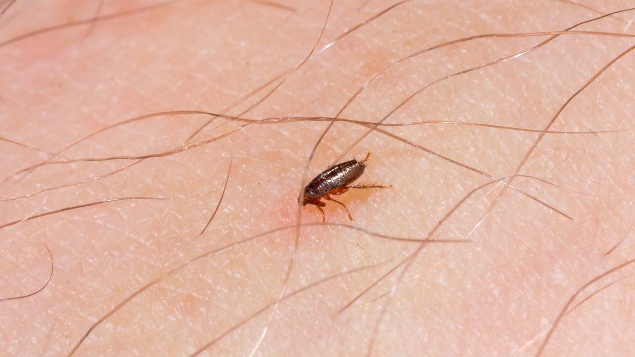 El sujeto estuvo a punto de perder la vida y logró salvarse de forma milagrosa.