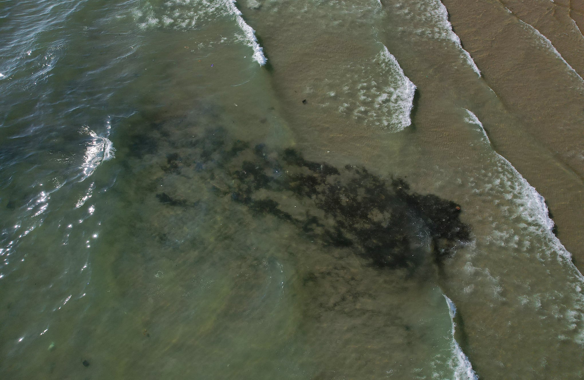 Derrame de petróleo amenaza corales frágiles frente al este de Tailandia