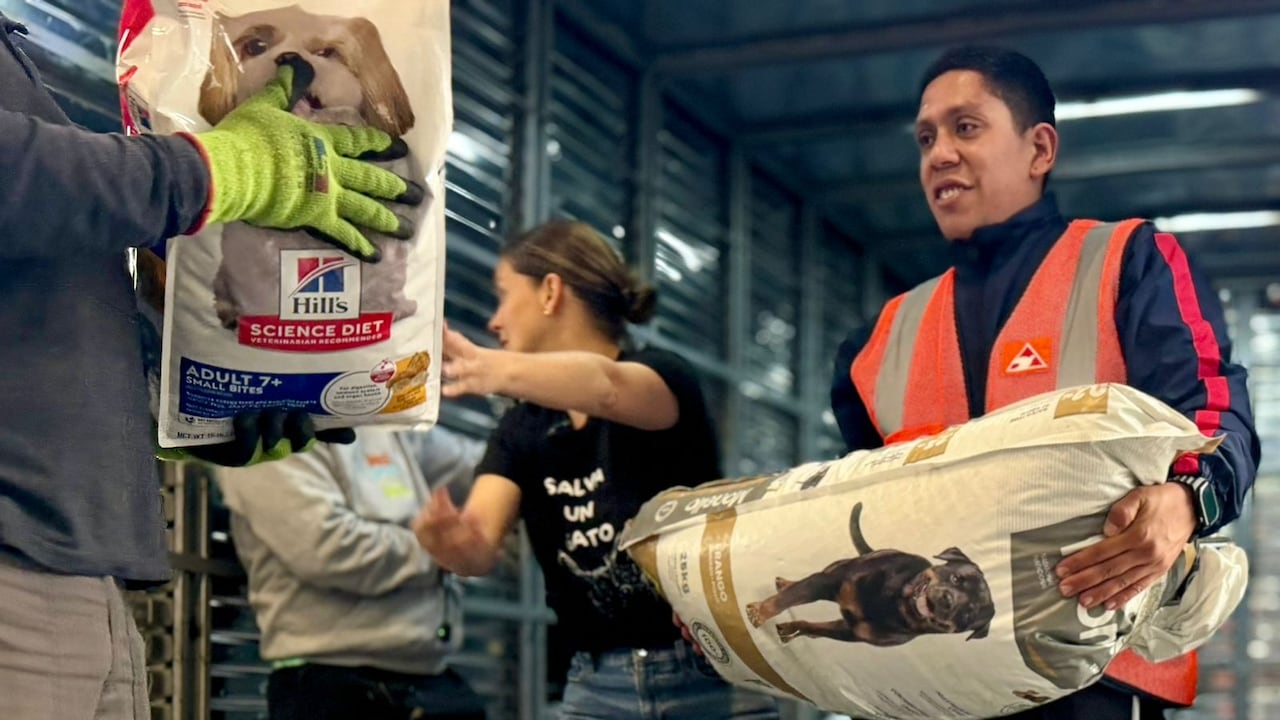 La senadora Andrea Padilla lideró la entrega de 3,2 toneladas de ayudas para los animales de Córdoba.