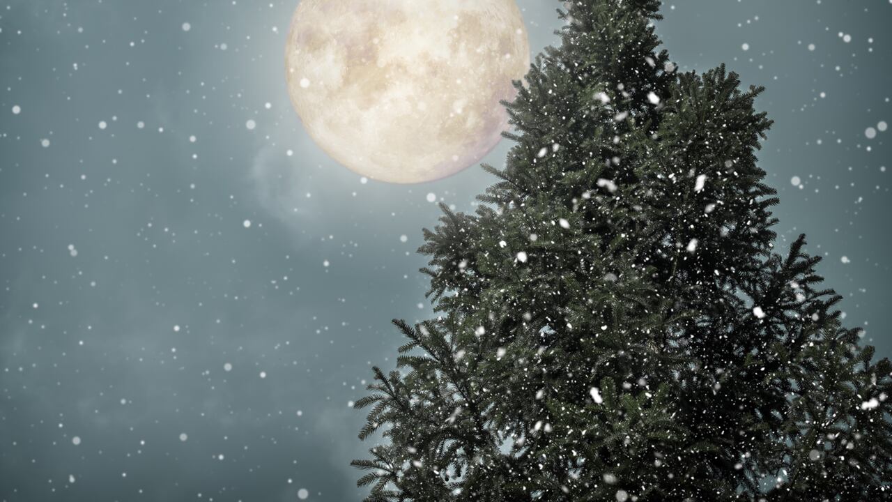 Árbol de Navidad con fondo de luna llena en invierno. Fondo de vacaciones de Navidad y año nuevo. tono de color vintage.