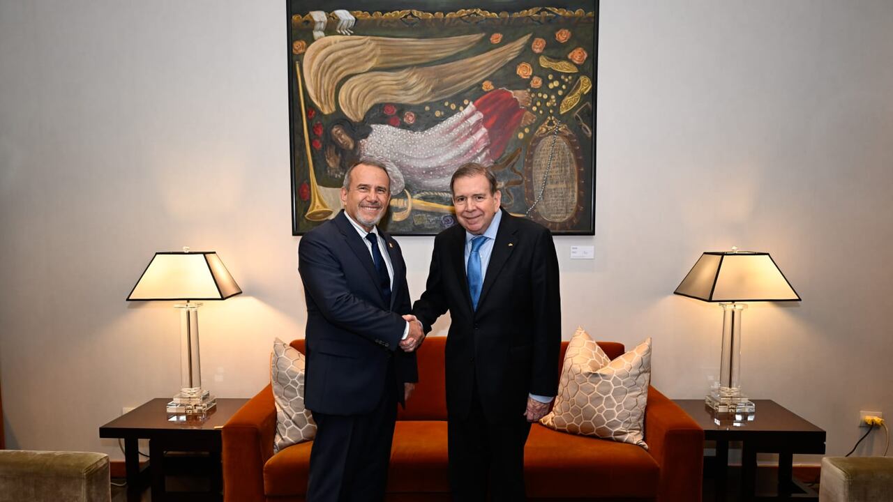 Canciller Elmer Schialer junto a Edmundo González