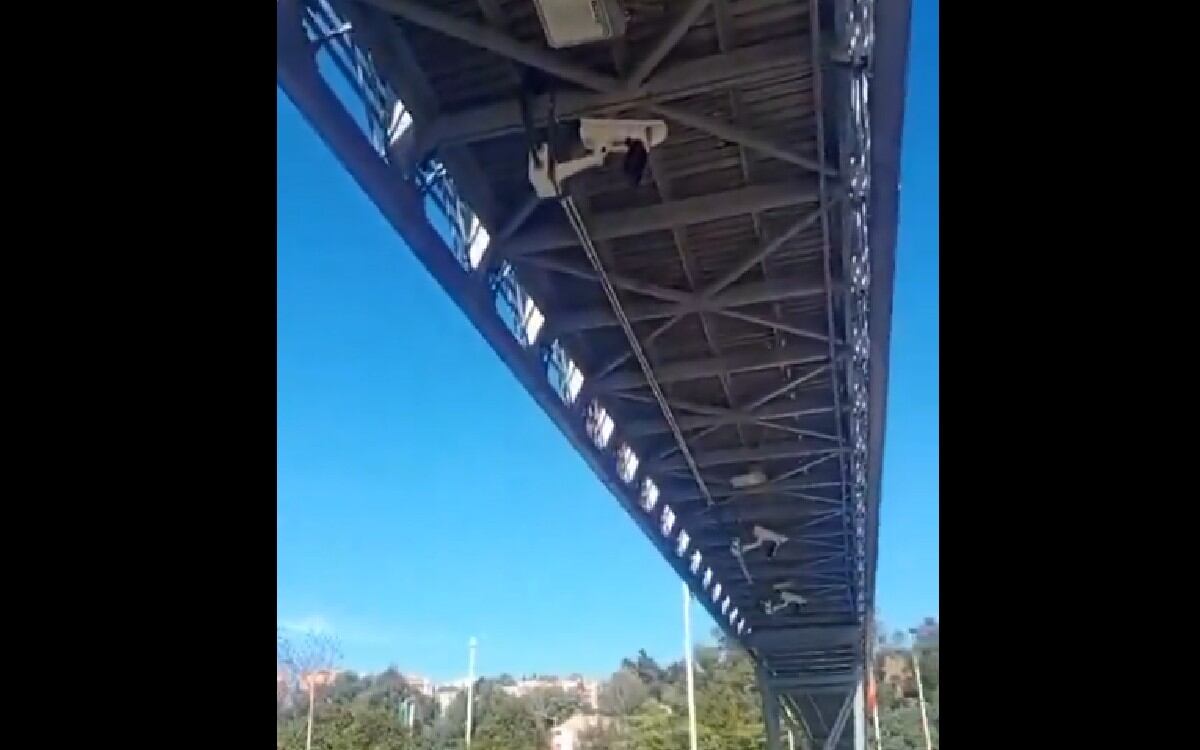 La Secretaría de Movilidad negó que la cámara fuera de fotodetección. La entidad manifestó que este tipo cámaras se encuentran “debidamente señalizadas” y son visibles para los conductores.