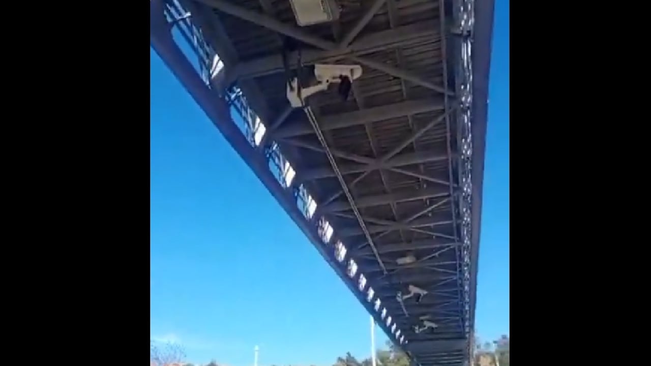 La Secretaría de Movilidad negó que la cámara fuera de fotodetección. La entidad manifestó que este tipo cámaras se encuentran “debidamente señalizadas” y son visibles para los conductores.