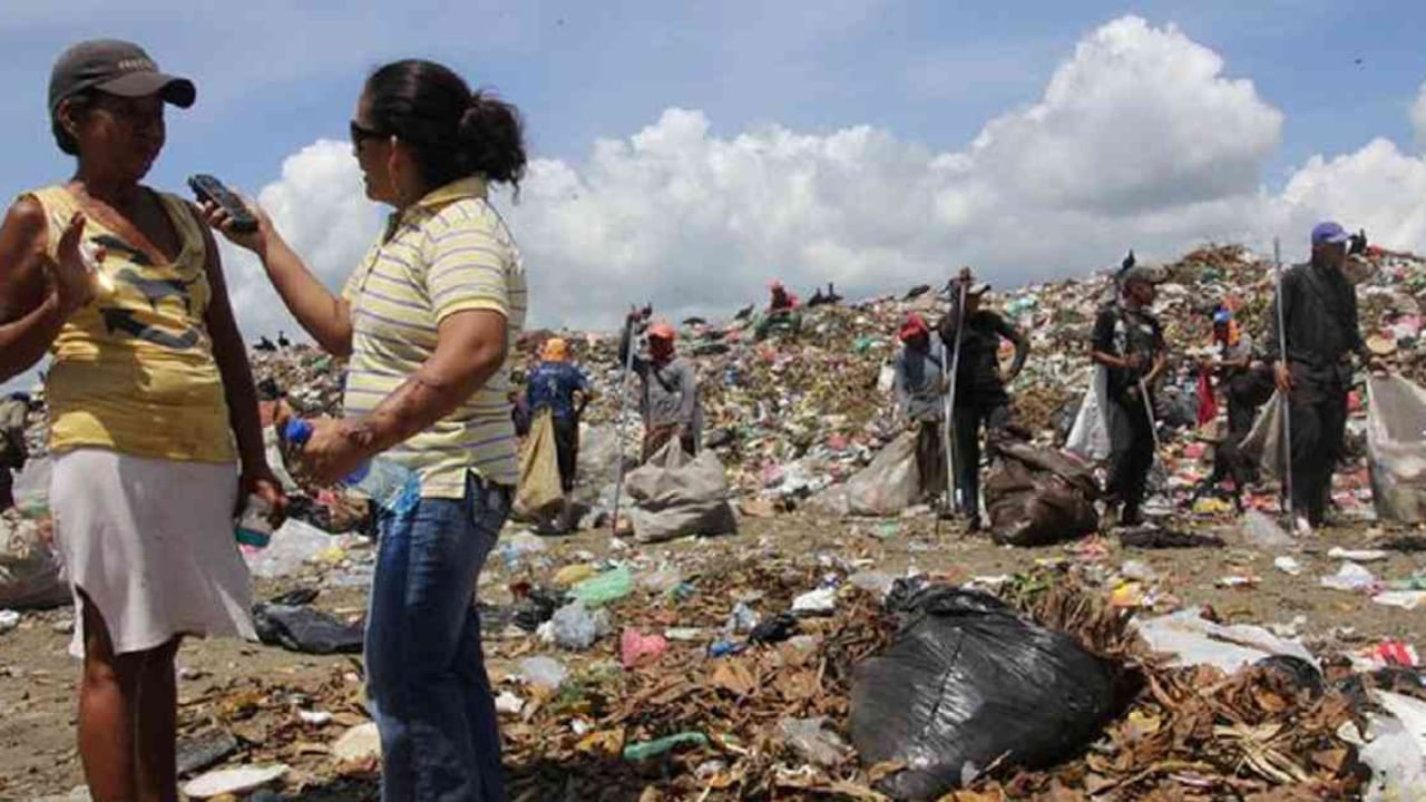 Informar sobre la destrucción del medio ambiente puede convertirse en un riesgo. Foto: DW