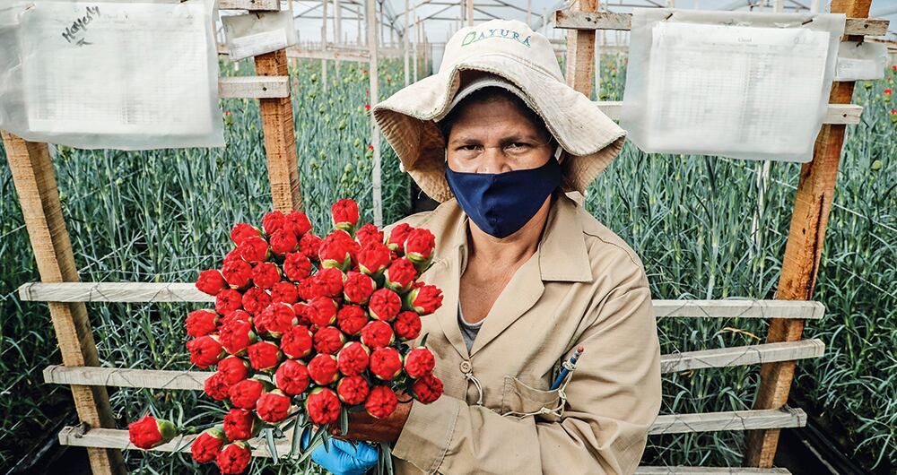 La floricultura amigable con el medio ambiente.