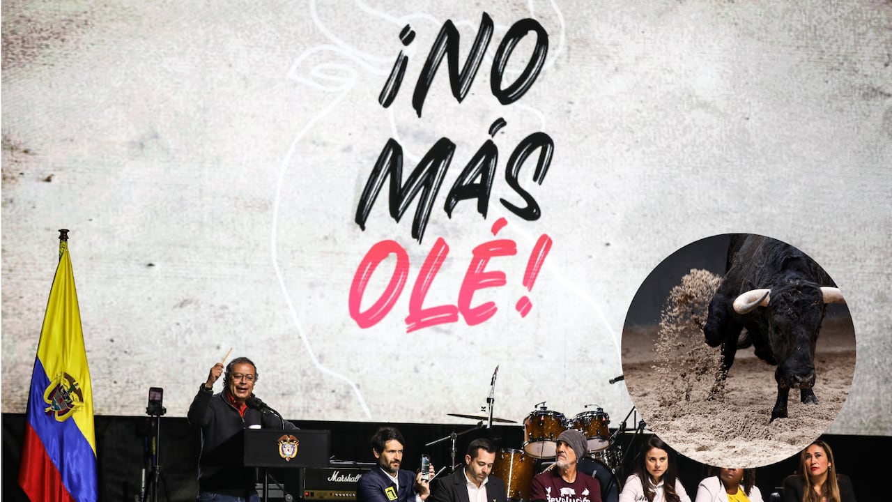 Lo que debe saber de la ley No Más Olé.