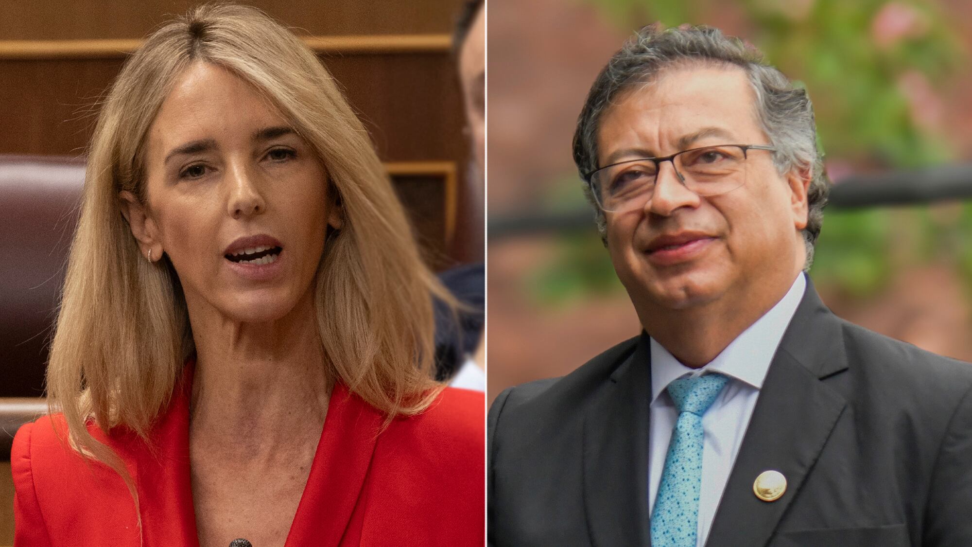 Cayetana Álvarez, Gustavo Petro