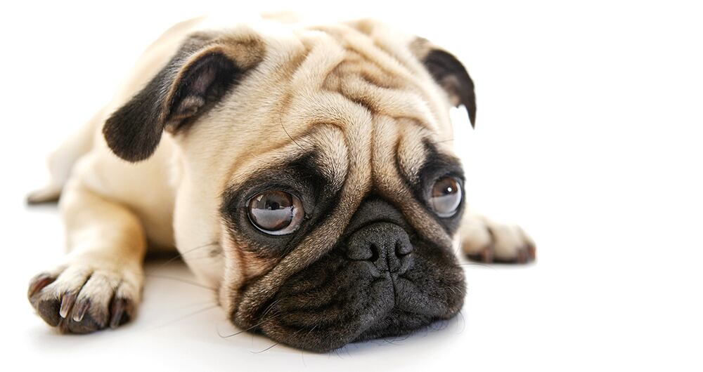 ¡A desayunar antes de las 8:30!_2