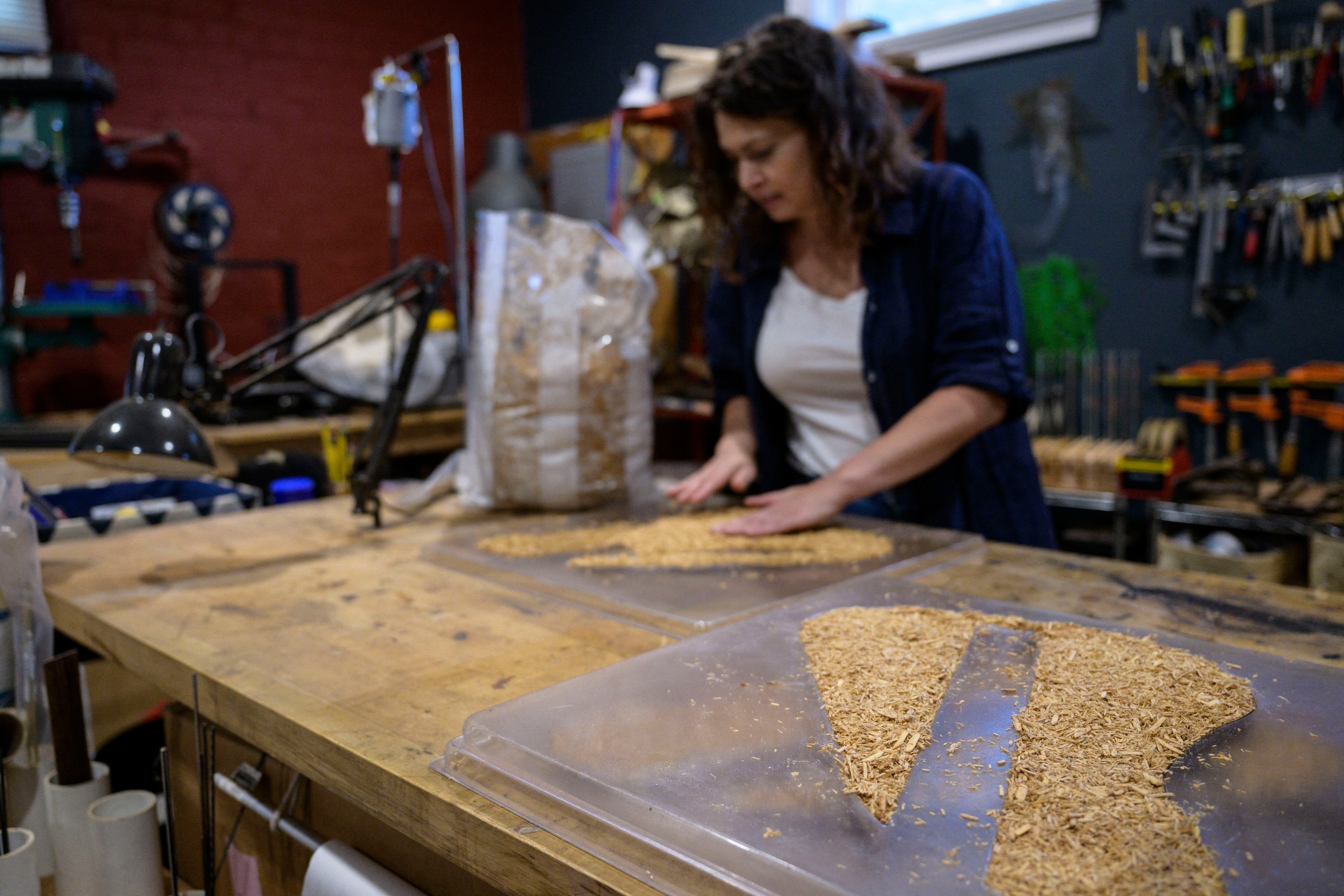Guitarras de champiñones