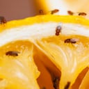 Las frutas fermentadas atraen insectos.