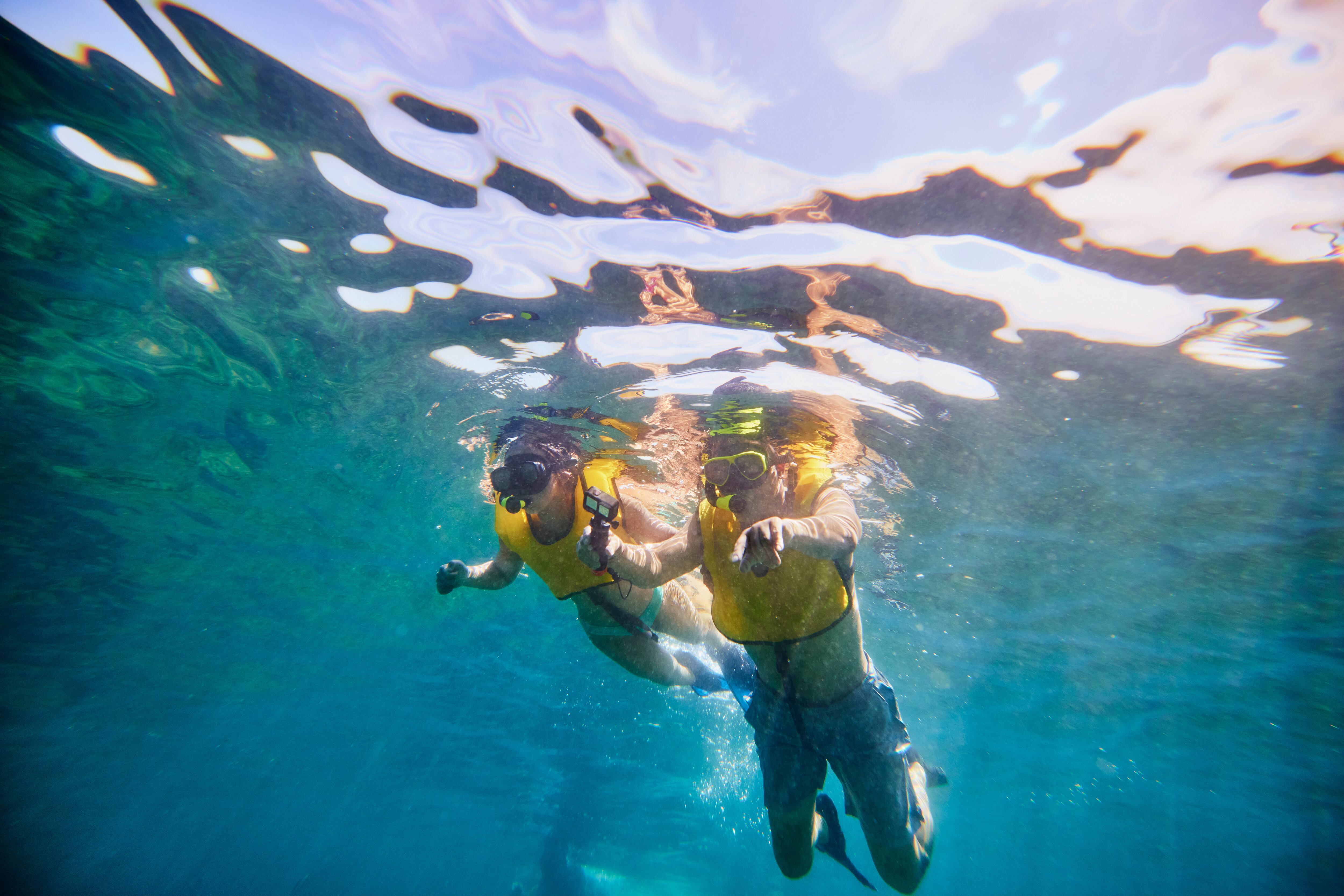 Habitantes del sector confirmaron posteriormente que el animal ha intentado tomar otras cámaras llevadas al lugar por los expedicionarios.