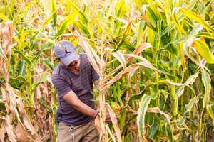 Unidad de Planificación Rural Agropecuaria