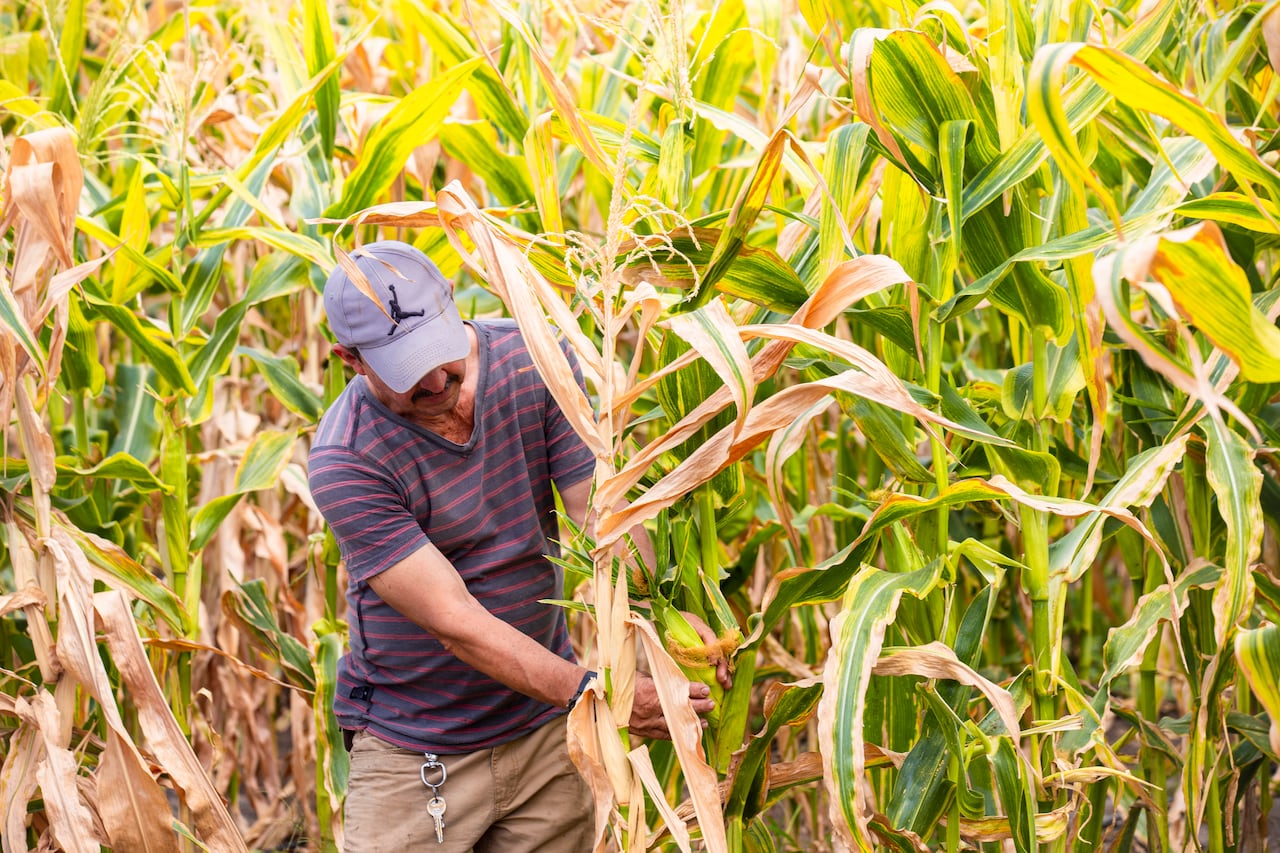Unidad de Planificación Rural Agropecuaria
