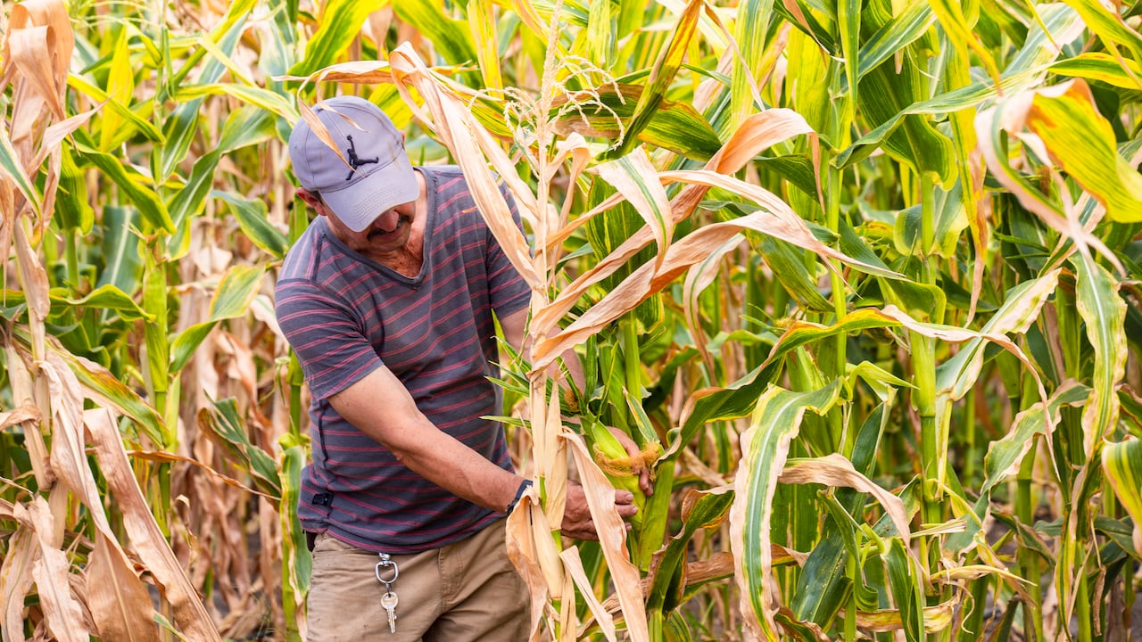 Unidad de Planificación Rural Agropecuaria